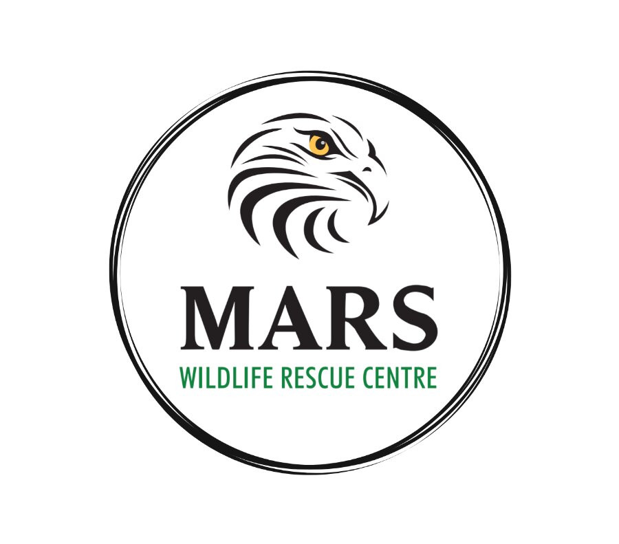 MARS Wildlife Rescue Visitor Centre景点图片