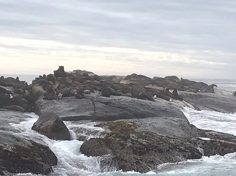 Nauticat Charters-木湾必去景点