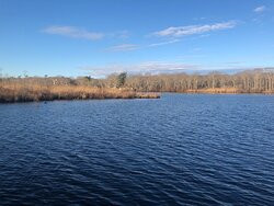 Wertheim National Wildlife Refuge-Shirley必去景点
