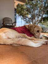 Carpe Diem Stay主图