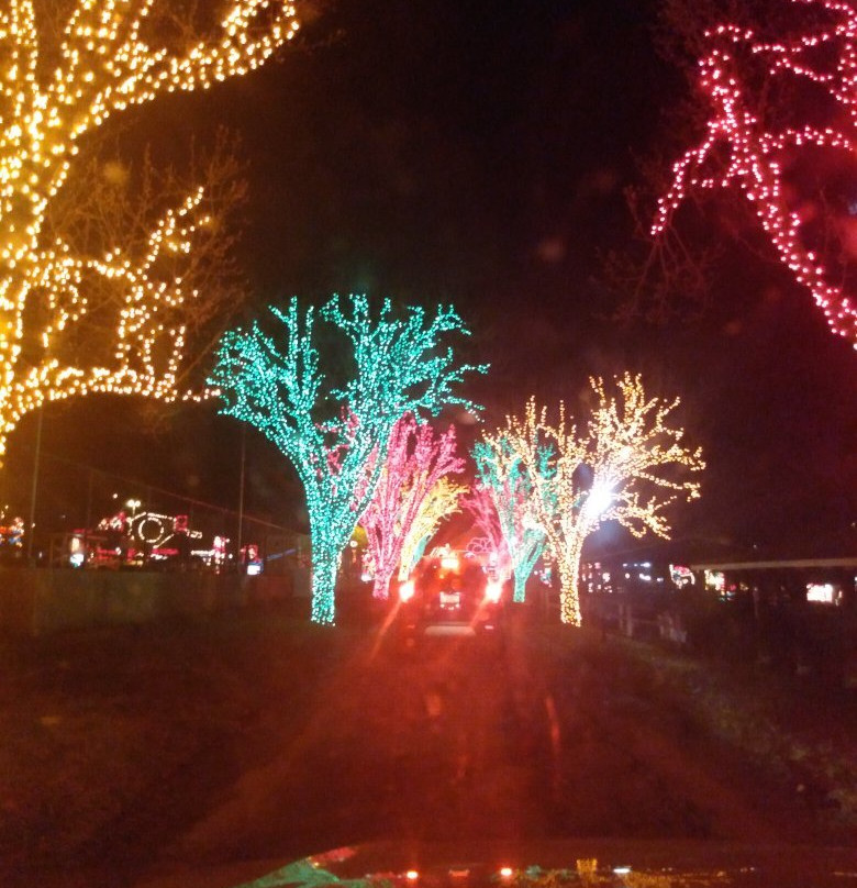 Lakemont Park景点图片