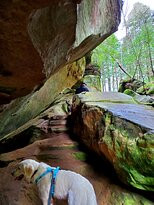 Cedar Falls Hiking Trail-洛根必去景点