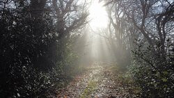 Combe Gibbet-Inkpen必去景点