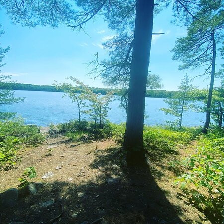 Hardy Lake Provincial Park景点图片