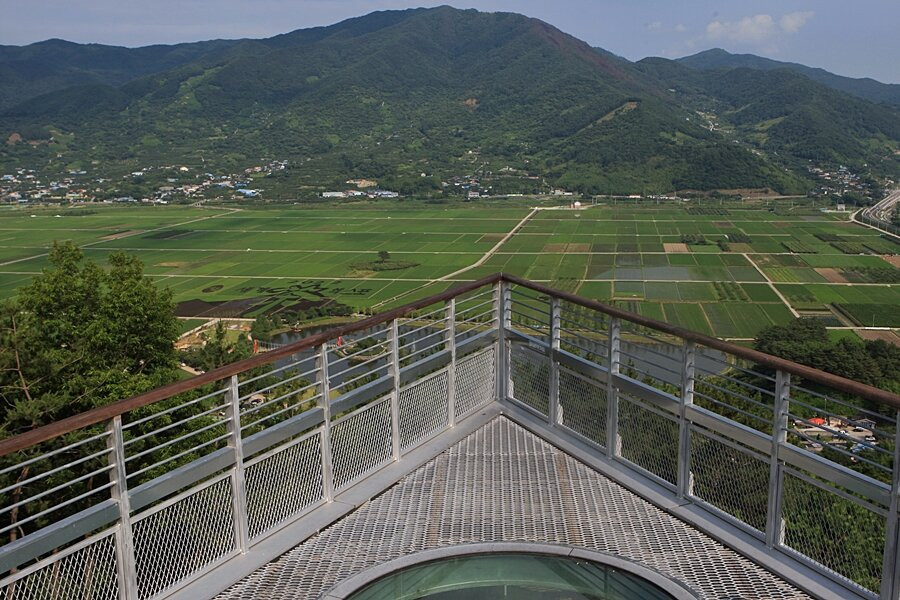 스타웨이하동-河东郡必去景点