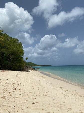 Village de Menard主图