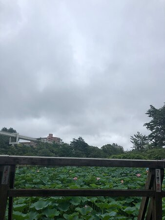 Chiba Park-千叶市必去景点