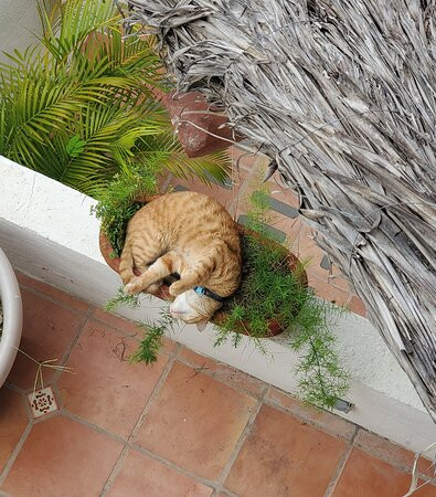 Hotel La Quinta del Sol主图