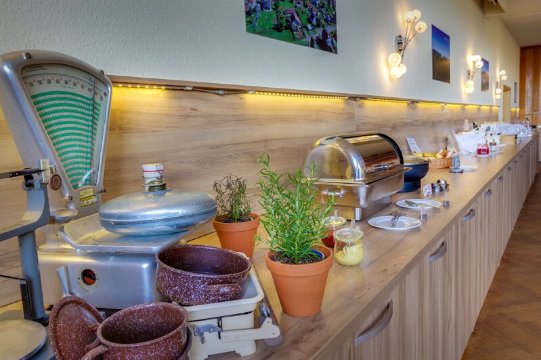 雷恩施泰格布利克假日酒店-官方