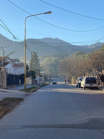 Posada del Arbol主图