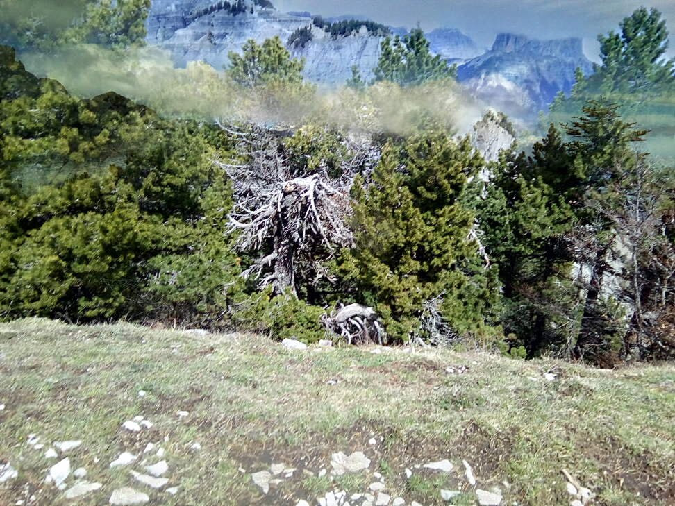 Vallon De Combeau景点图片