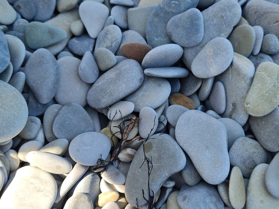 Baza Otdykha Anastasiya