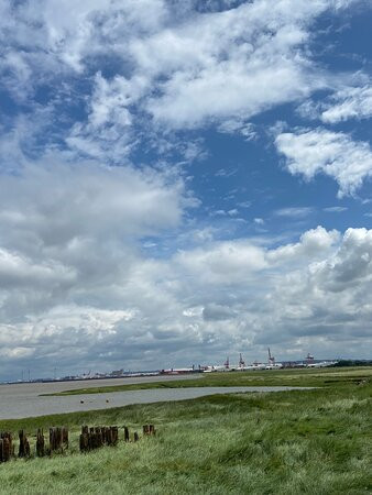 Portishead Marina-Portishead必去景点