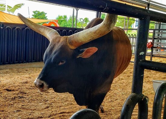 NACF Anseong Farmland-安城市必去景点