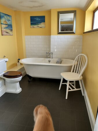 The Farmers Arms主图