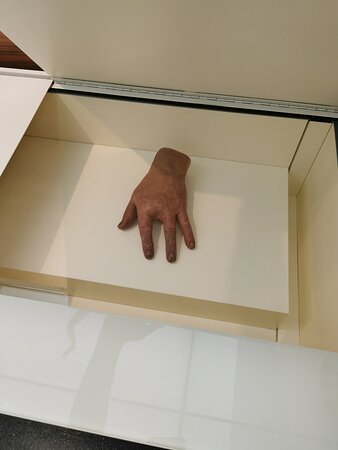 Deutsches Hygiene-Museum Dresden-德累斯顿必去景点