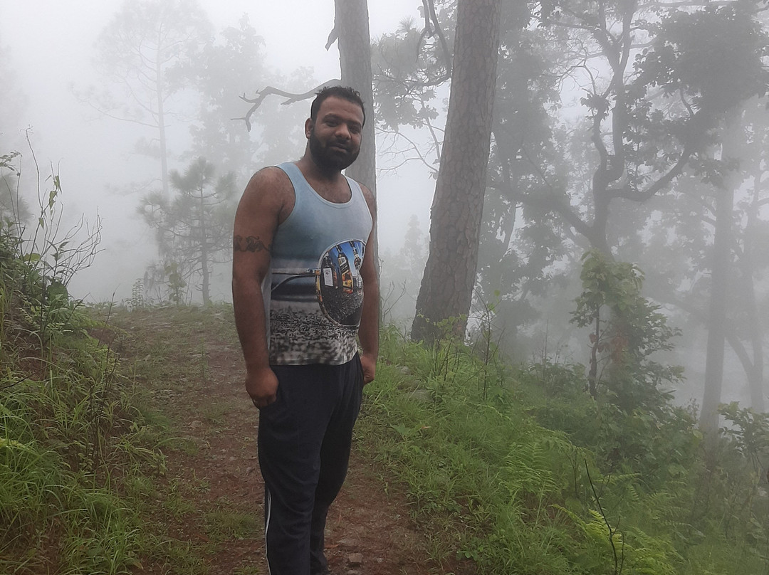 Lansdowne Hill View Cottages