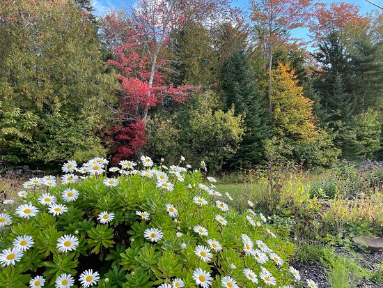 Black Horse Inn主图