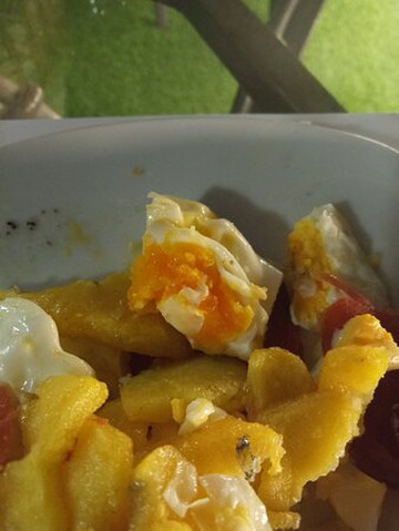 Habitat Center Los Girasoles主图