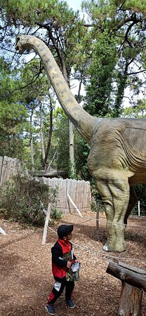 Dino's Park景点图片