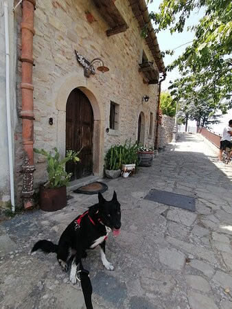 Borgo Medievale景点图片