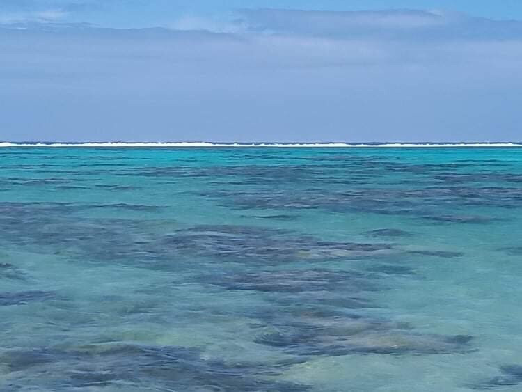 Aroa Marine Reserve-拉罗汤加必去景点