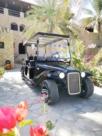 Nizwa Tourism Carts景点图片