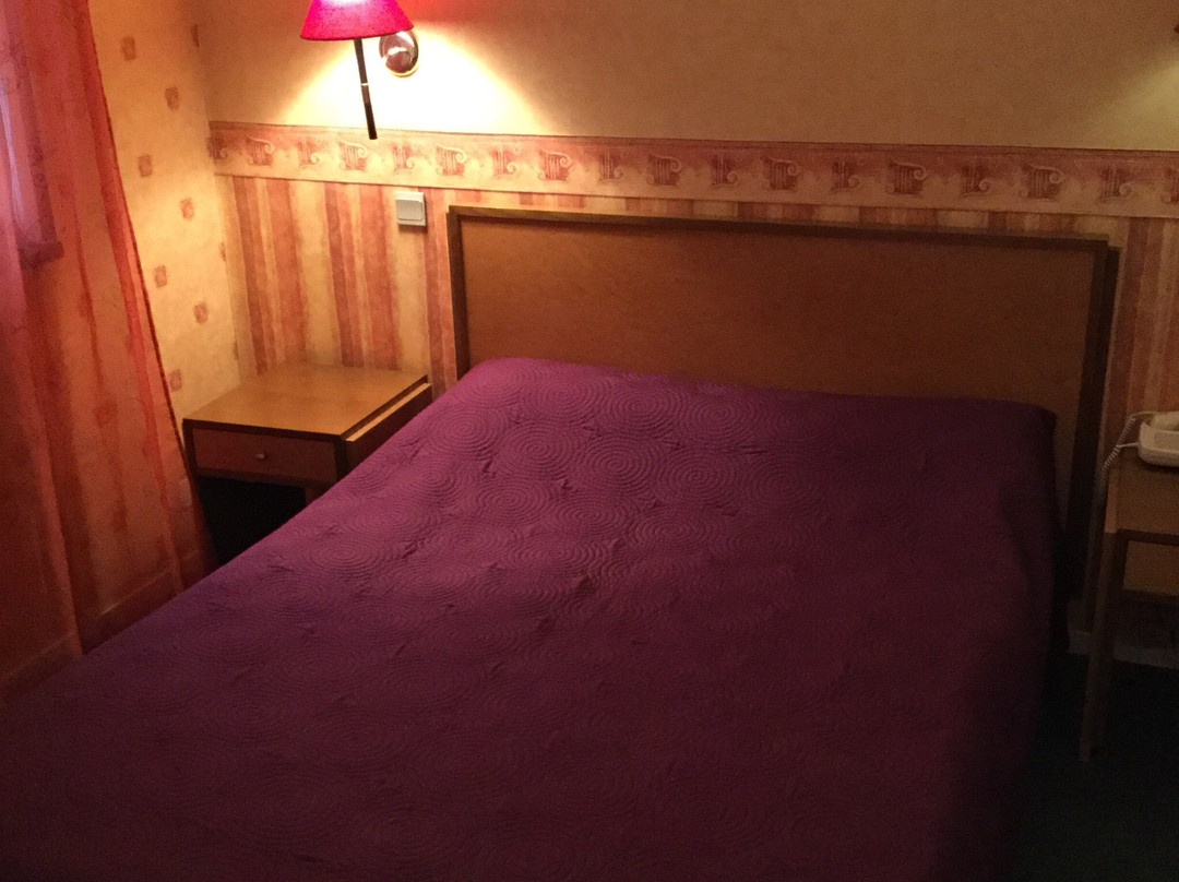 Hotel les Rives de L'avance主图