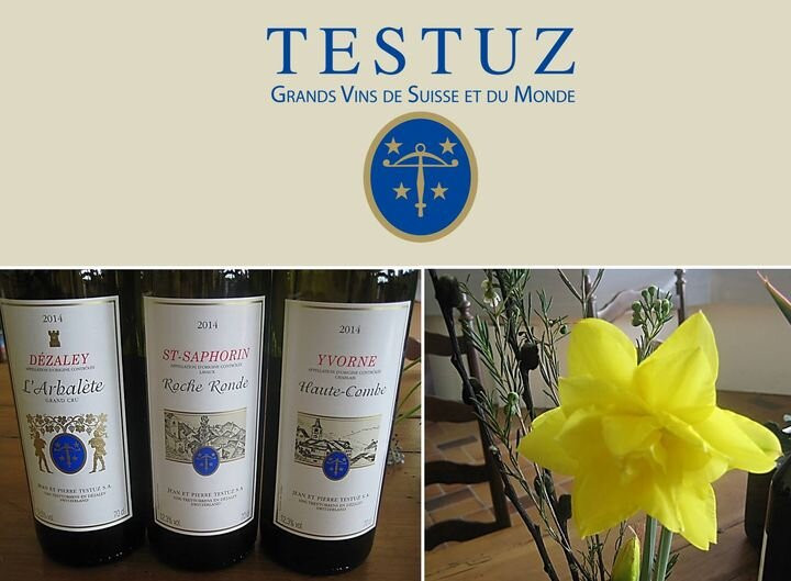 Vino de Testuz景点图片