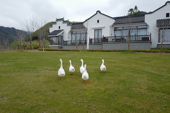 黄山悦榕庄酒店主图