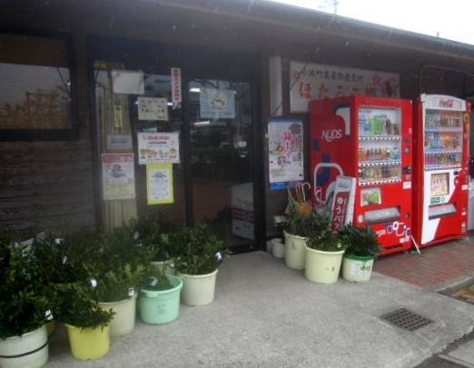 Hotaru no Sato-小城市必去景点