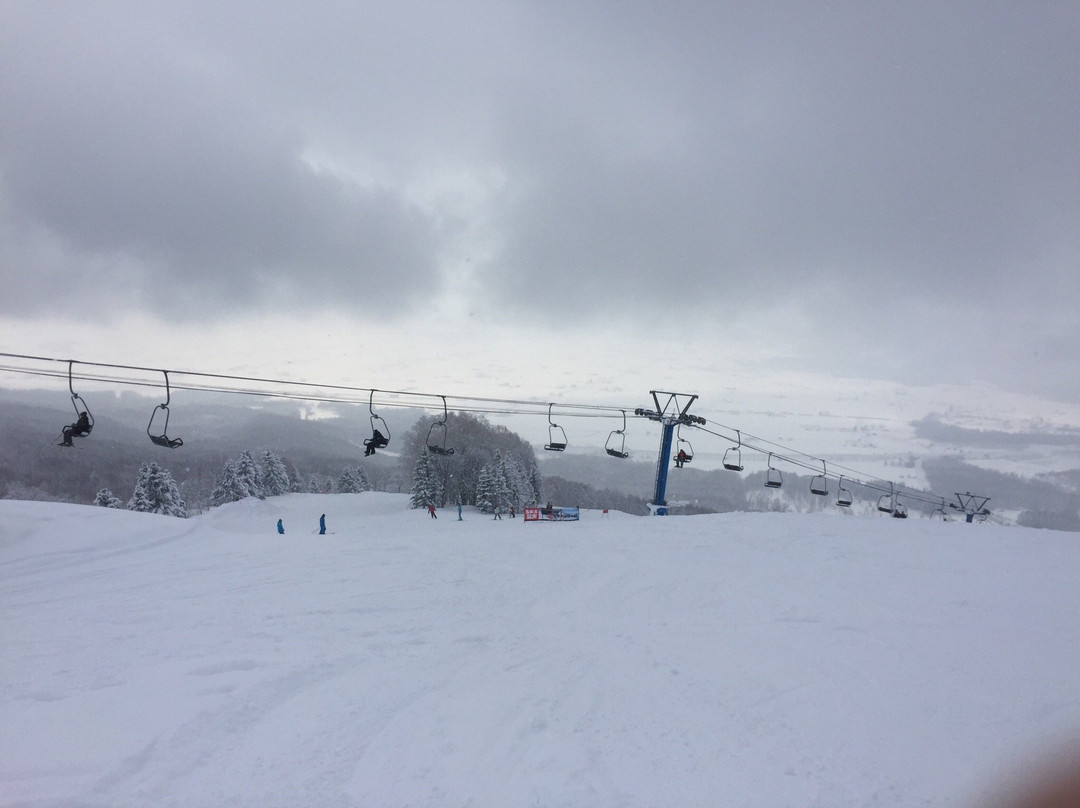 Pippu Ski Area景点图片