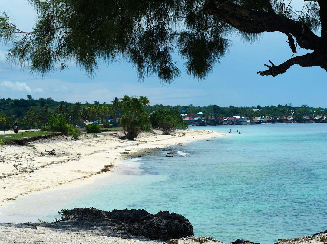 Buton Island旅游攻略图片