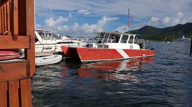 Dive Safaris-辛普森湾必去景点