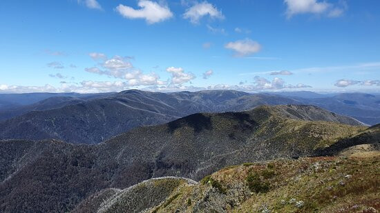 Bungalow Spur Hiking Trail-Harrietville必去景点