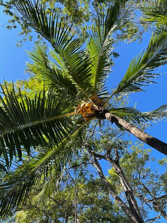 The Coast Beachfront Hotel主图