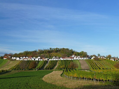 Kellergasse Galgenberg-Wildendurnbach必去景点