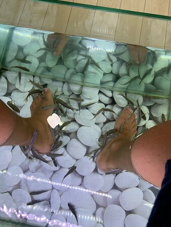 Kissingfish-费拉必去景点