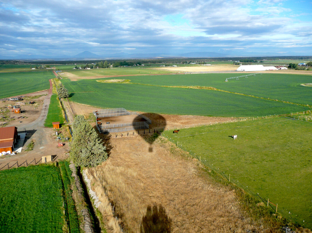 Big Sky Balloon Company景点图片