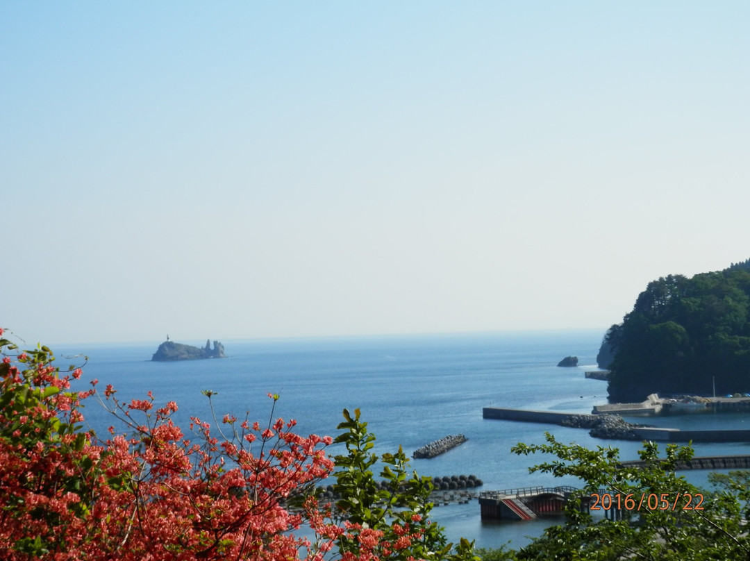 Taijima Island景点图片