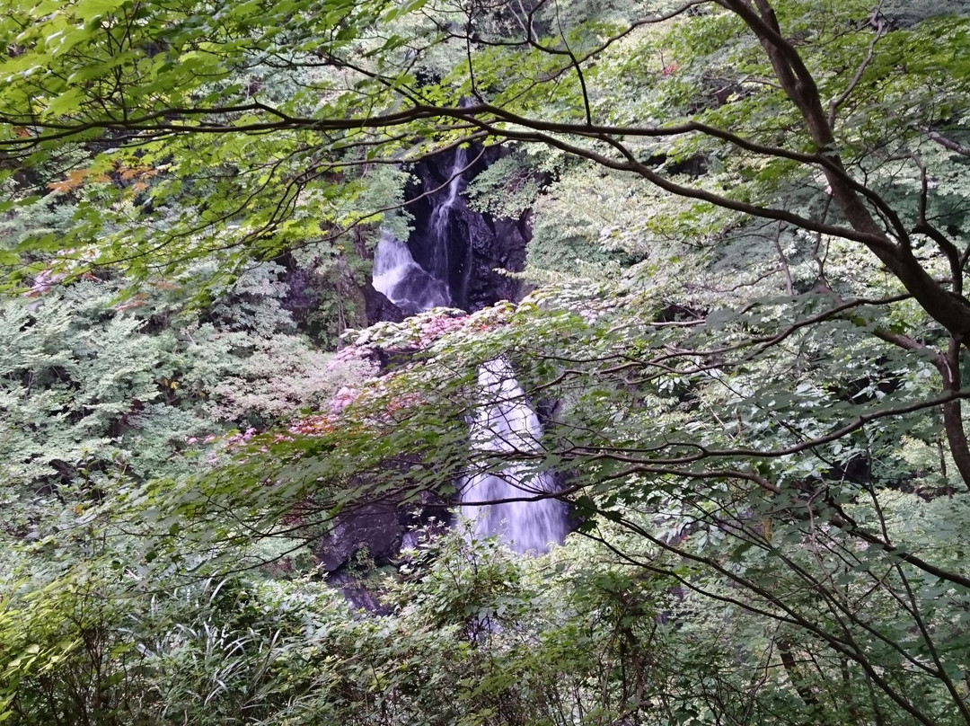 Konaka Falls景点图片