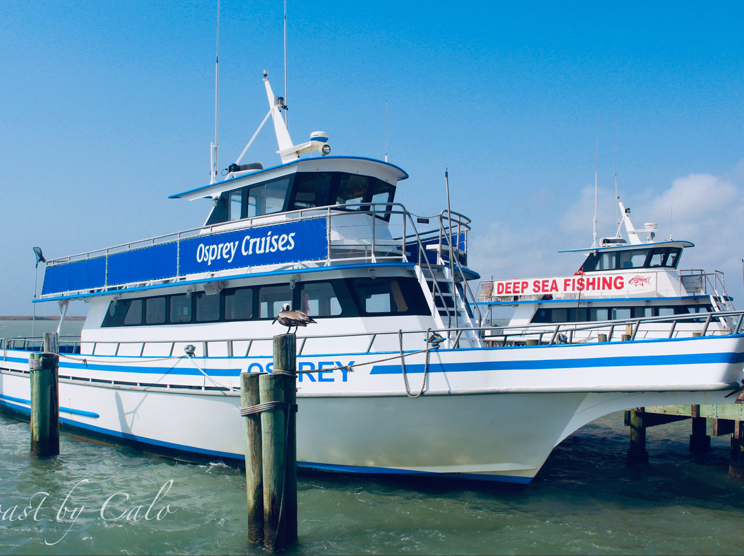 Osprey Cruises-Port Isabel必去景点
