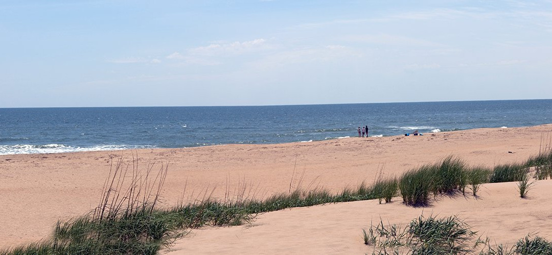 null-弗吉尼亚海滩