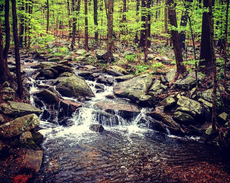 Randolph旅游攻略图片