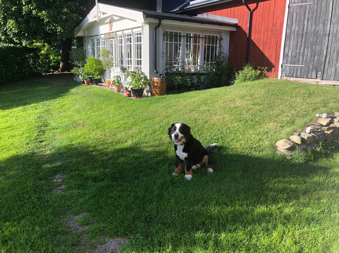 Rensmurs Bed & Breakfast