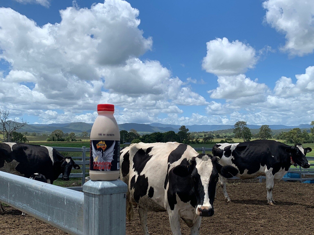Scenic Rim Robotic Dairy景点图片