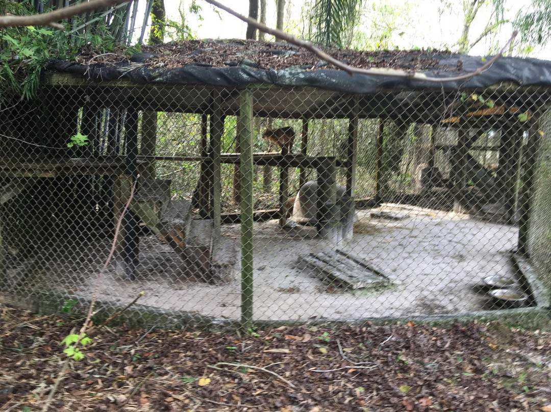 阿卡迪亚旅游景点-Lions, Tigers & Bears