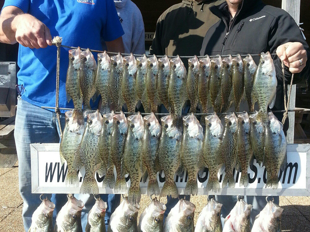 Action Fishing Trips