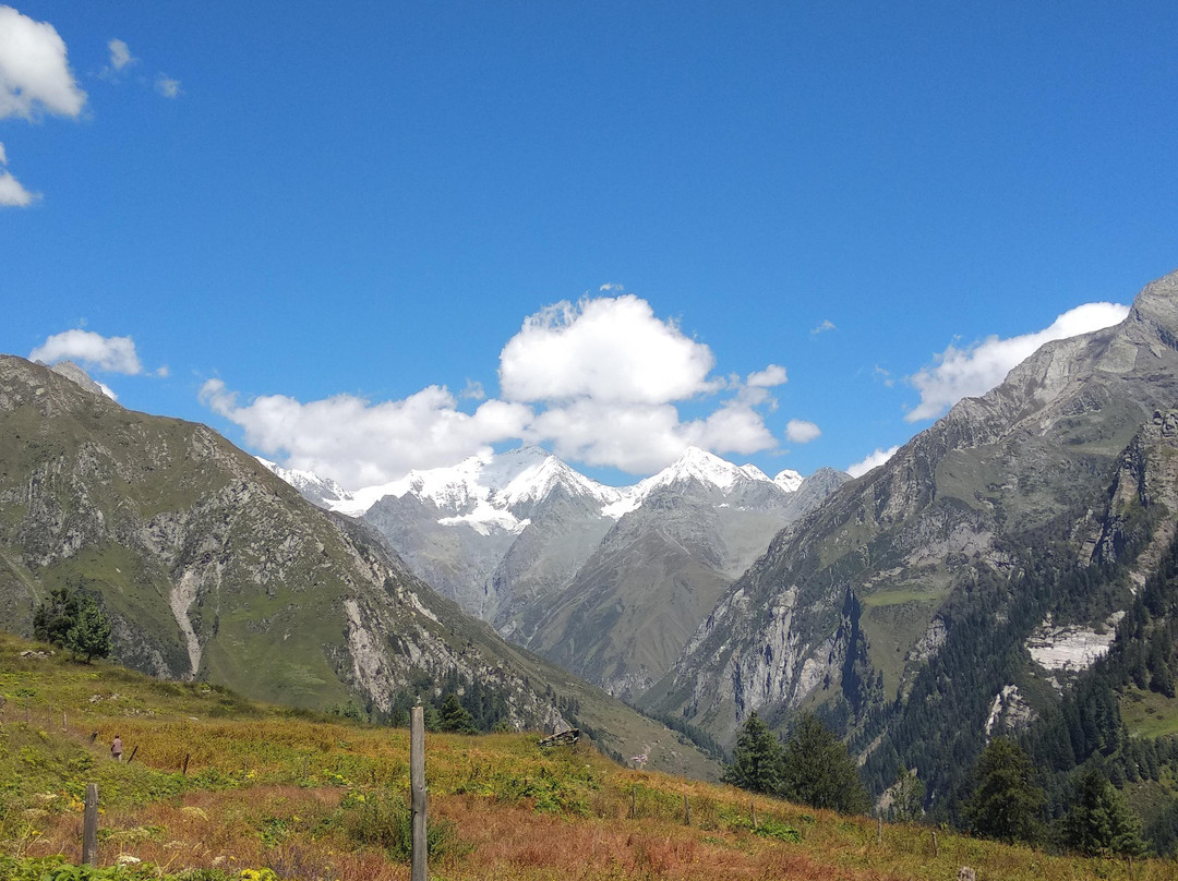 BEING HIMALAYAN景点图片