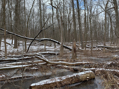 Pittsfield Charter Township旅游景点-Mary Beth Doyle Park
